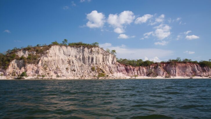 The Brazilian Fight Over Water Rights Proves the Little Guys Can Win