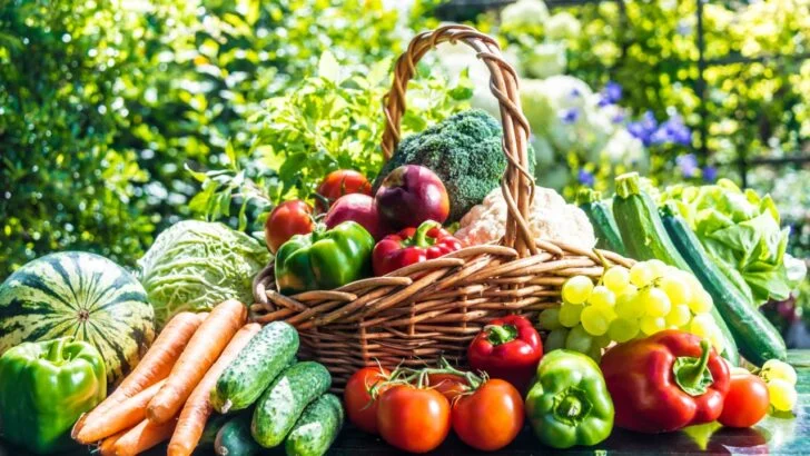 8 High-Yield Vegetables to Plant Now for a Summer Full of Free Food