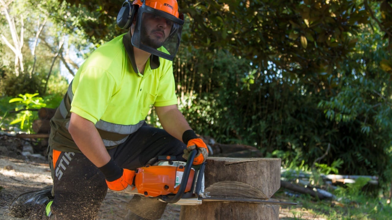 galicia, spain august 24, 2020: forestry worker cutting log with chainsaw