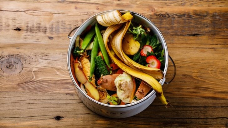9 Things You’re Tossing in the Trash That Could Fix Your Garden Soil for Free