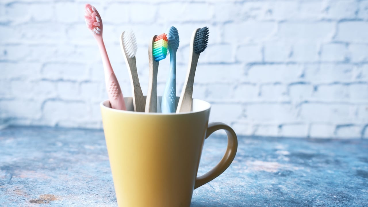  colorful toothbrushes in white mug against a wall 