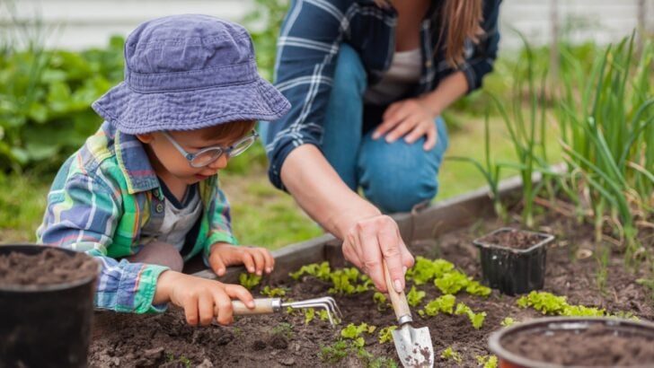 If Your Kids Won&rsquo;t Eat Vegetables, You Haven&rsquo;t Tried This Gardening Trick Yet