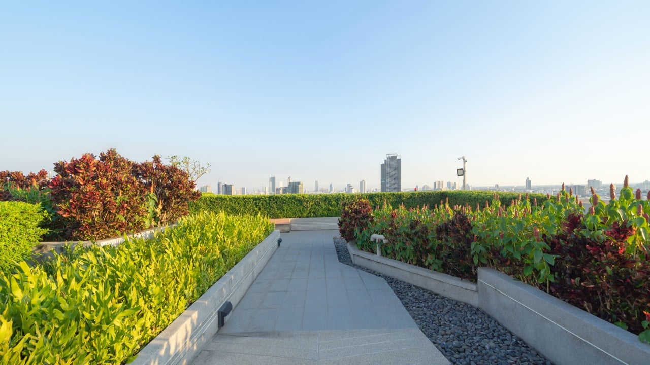 Sky garden on private rooftop of condominium or hotel, high rise architecture building with tree, grass field, and blue sky.