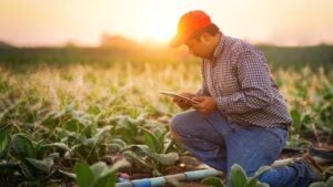 Selective focus Smart farmer using tablet control Irrigation system working watering crop fertilization to young plants. smart farmer, digital agriculture, technology agricultural concept.