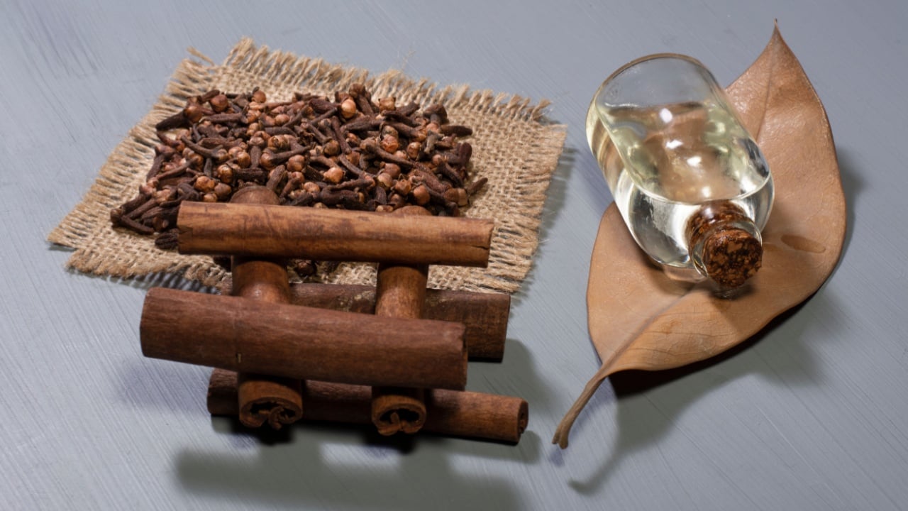 clove grains and cinnamon sticks, a bottle of clove oil