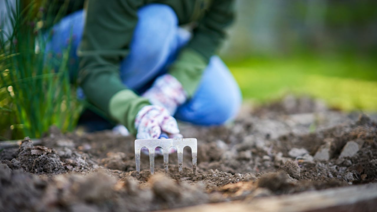 Picture of woman working with tools in the garden