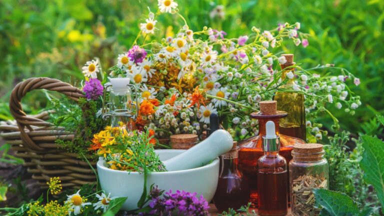 Medicinal herbs and tinctures alternative medicine. Selective focus. Nature.
