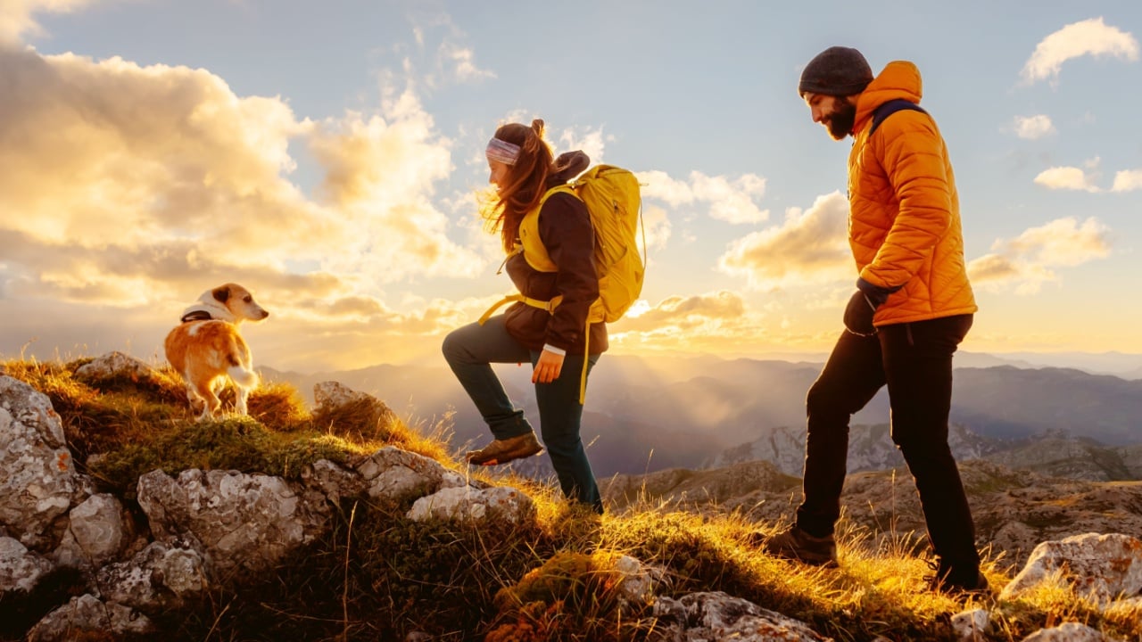 couple of two mountaineers with their adopted dog on a mountain route at sunset. Traveling and playing sports with pets. outdoor activities and adventure.