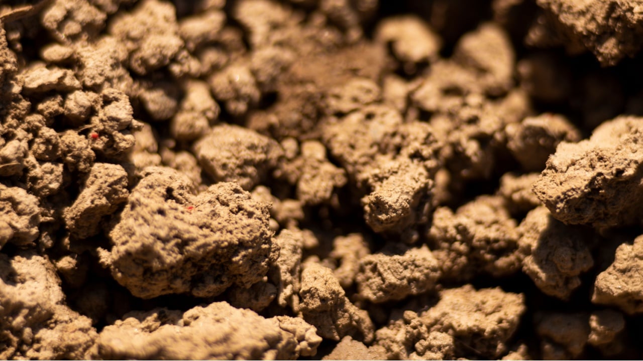 The light brown clay soil