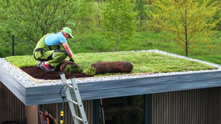 Professional Caucasian Gardener Building Sedum Green Roof on Top of a Modern Shed