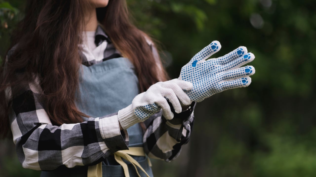 young woman put on and wear white gloves in the garden to protect hands