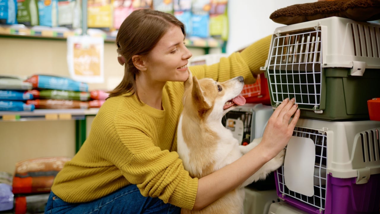 Cheerful young woman customer with dog at pet shop new choosing carrier