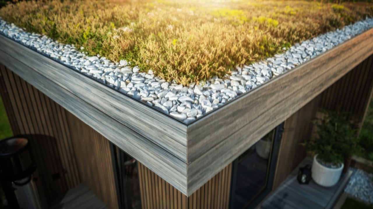 Modern Garden Shed Sedum Living Roof Corner Close Up