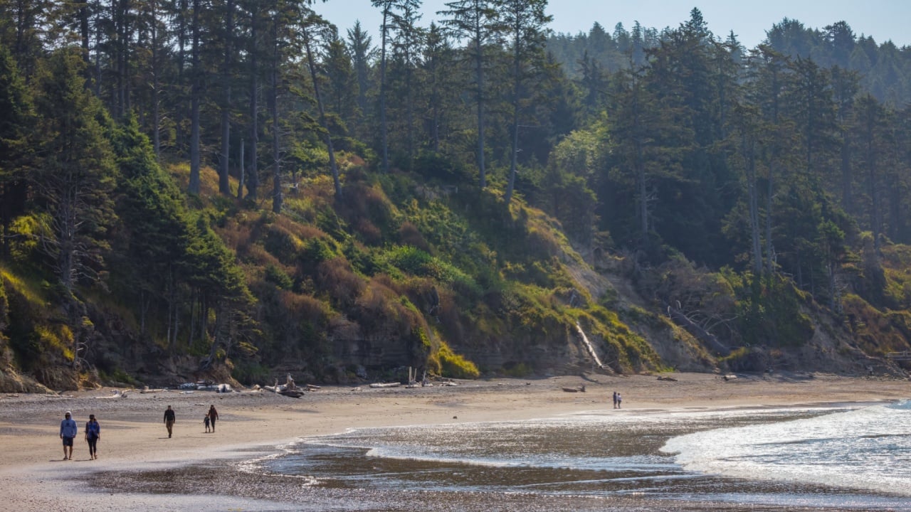 Forks, Washington, USA - 08-24-2003: Tiny people walking along the beach with mountains in the distance