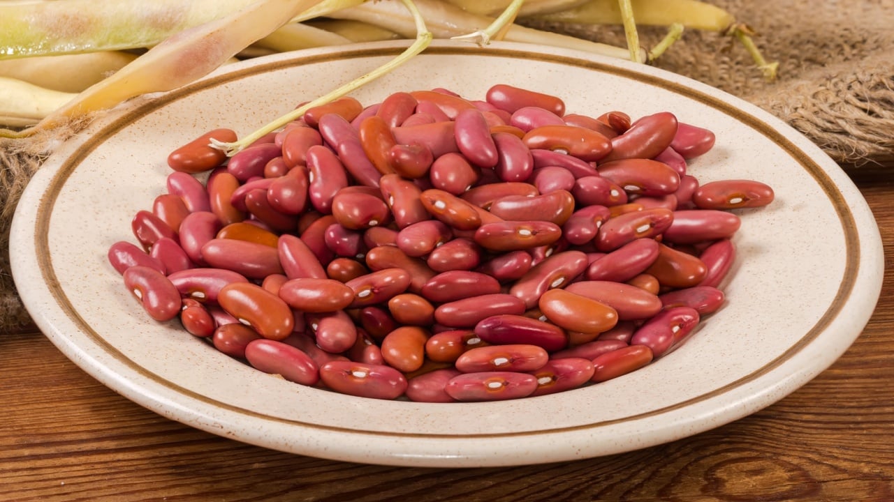 Raw husked red kidney beans on the saucer against the same beans in the pods on burlap on the rustic table, side view