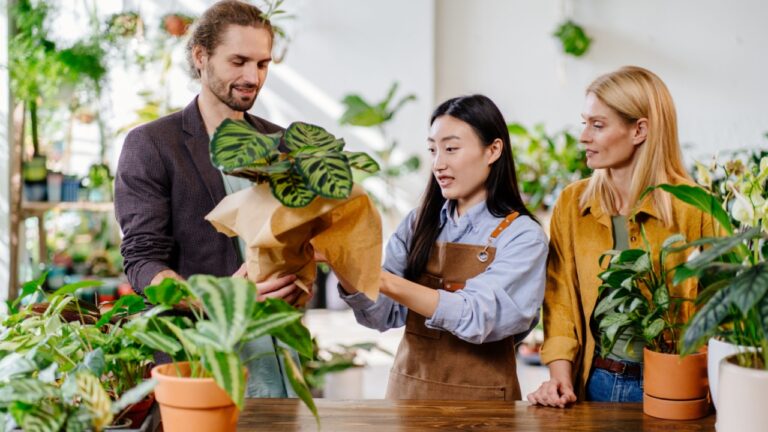 Adult Asian woman worker gardener wearing apron packing in paper and selling house plant pots for happy European couple in flower shop. Florist handing over plants to male customer.