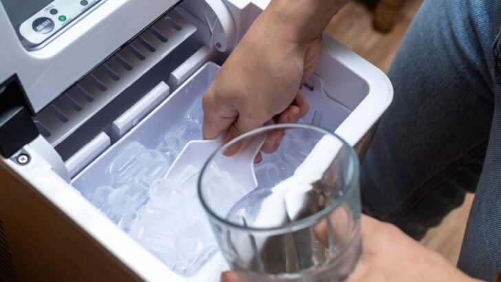How to Clean Your Ice Machine and Avoid Consuming Filthy Ice This Summer