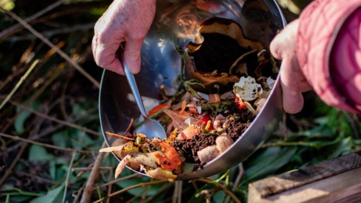 Stop Buying Bags of Compost and Use 8 Free Alternatives Already in the Yard and Kitchen