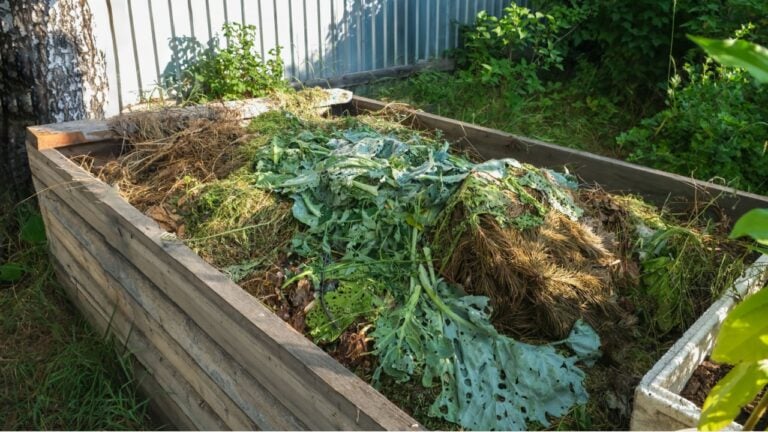 A compost heap in the village. Compost bin in the village. A compost heap of food waste. Compost bin in the village garden.