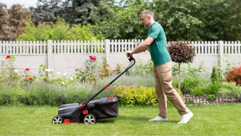 Side view of man using lawn mower cutting the grass in the backyard. Modern agricultural machinery for the care of the garden