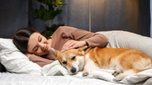 Smiling girl with long hair lies on a bed, petting her corgi dog in a cozy bedroom lit by a warm lamp, showing love and companionship. Love animal concept