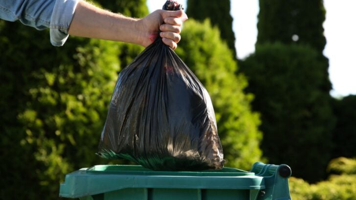 Why You Might Want to Toss These 13 Toxic Household Staples&nbsp;