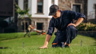 Checking the grass, sitting. Professional gardener is on the lawn.