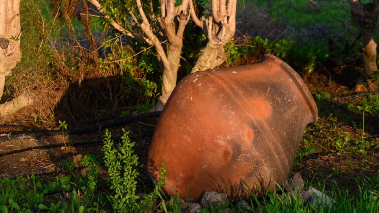 A tilted terracotta pot rests in lush grass, bathed in soft evening light filtering through trees.