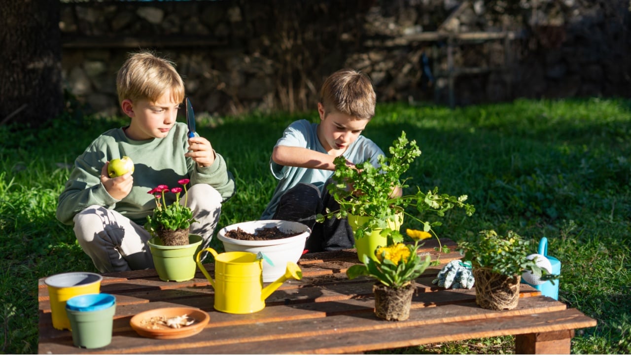 Two children doing a healthy outdoor activity of planting plants in the garden on a sunny day