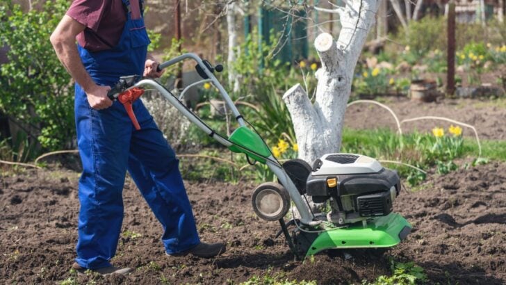 Millions of Gardeners Are Unknowingly Ruining Their Soil Every Spring With This One Habit