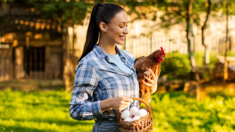 Young woman farmer presenting basket filled with fresh eggs and holding chicken, standing on farm backyard on sunny summer day