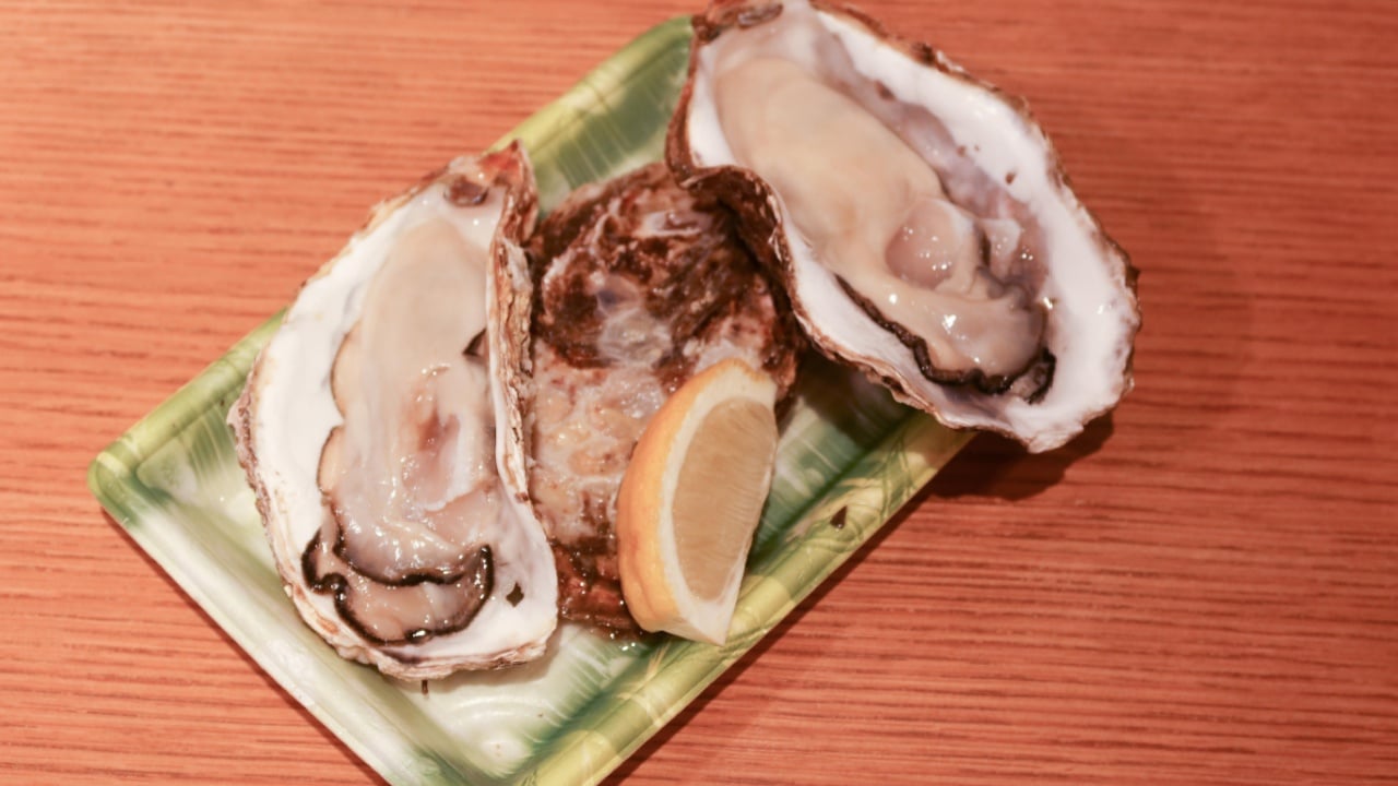 close up of three raw uncooked oyster in shell on a plastic container.