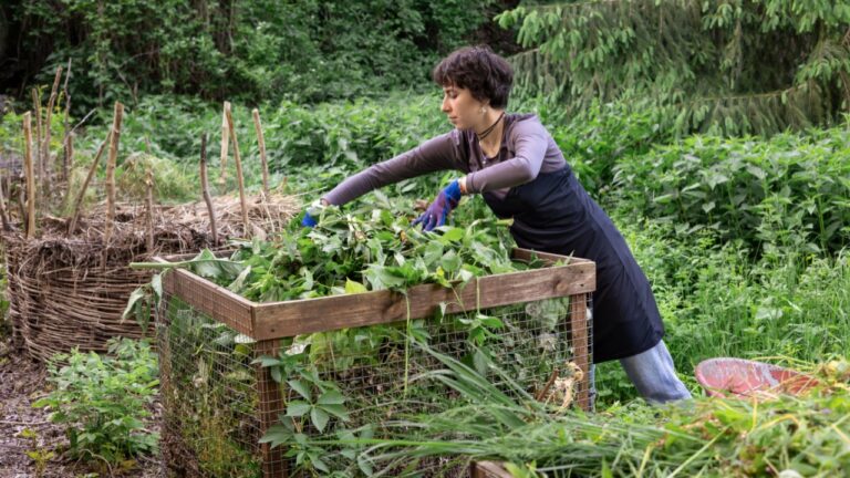 Woman adding garden waste and weeds to compost bin in backyard, sustainable gardening and organic recycling of leaves, branches and plant debris for natural soil enrichment.