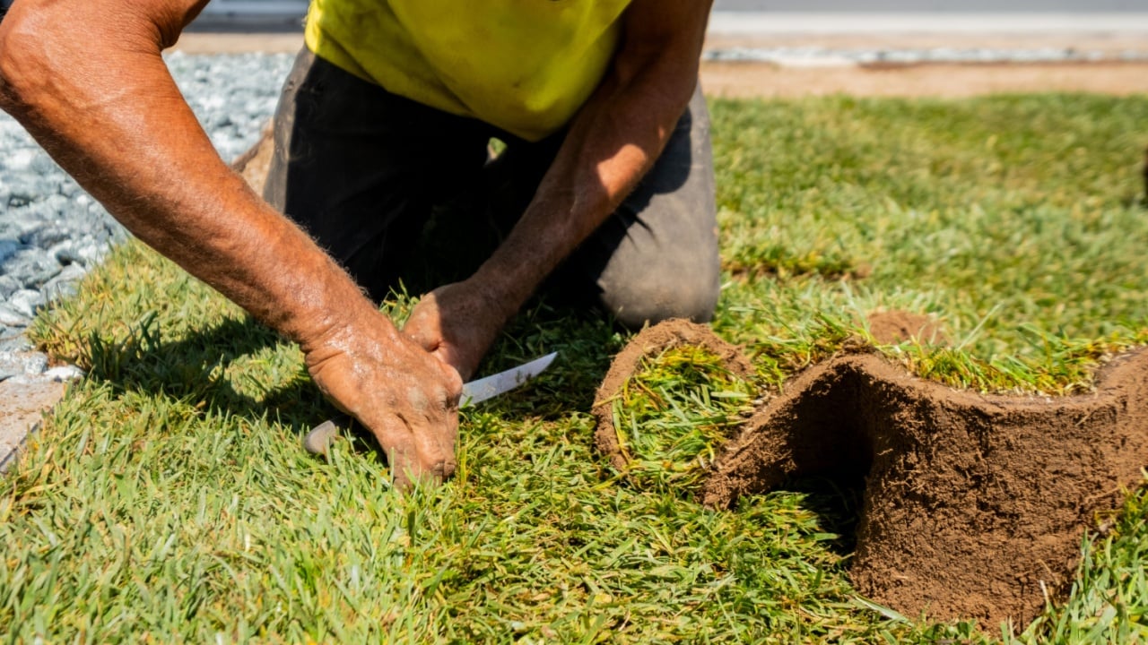 Gardener cutting sod turf to shape during grass installation. Concept of landscaping, gardening, and precision work in outdoor home improvement