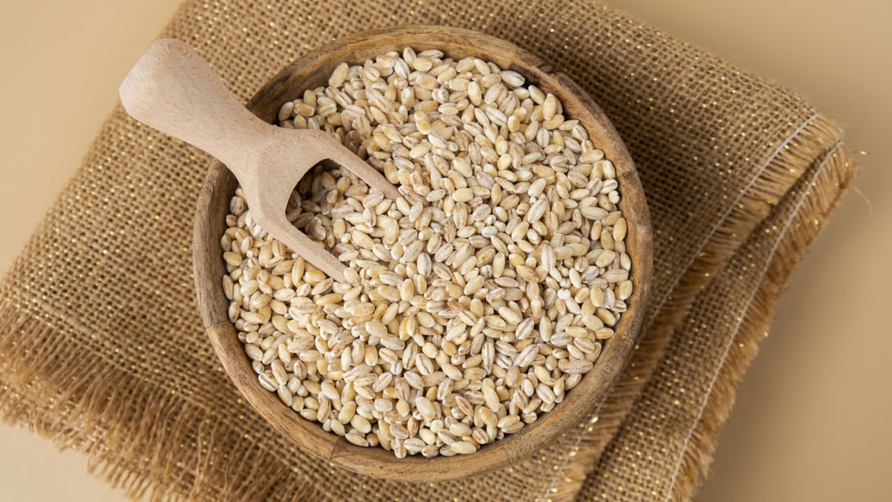 Pearl barley in neutral beige background. Whole spelt grain species. High protein fiber-rich vegan plant based food ingredient. Gluten free superfood healthy nutritional dietary alternative