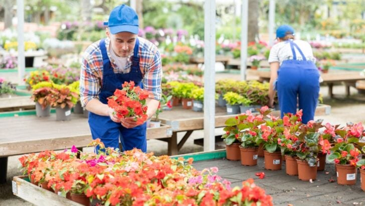 Top Garden Tips That Save You Serious Time and Money, According to Experts