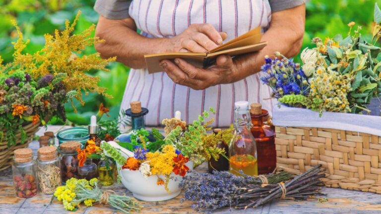 Grandmother makes tinctures from medicinal herbs.