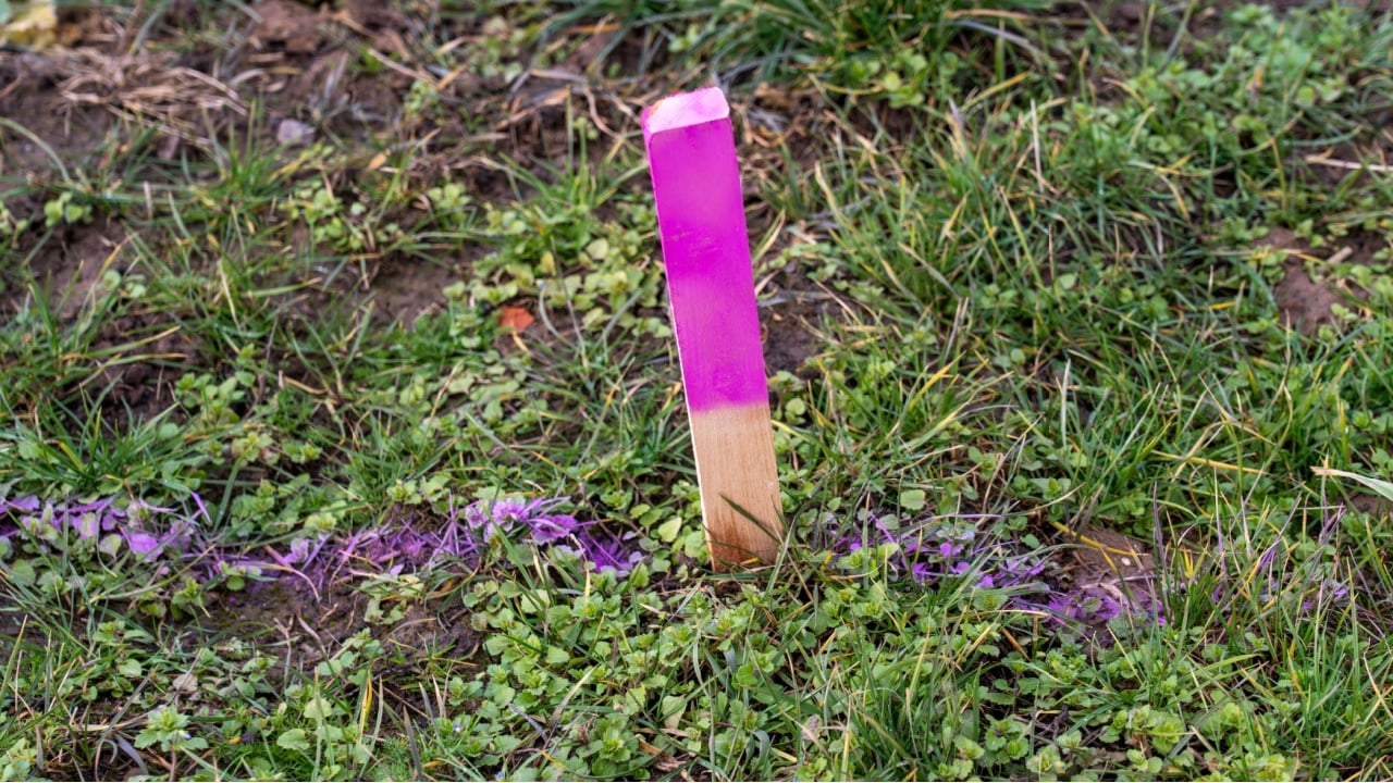 Pink Survey Stake in Grassy Field for Construction Marking