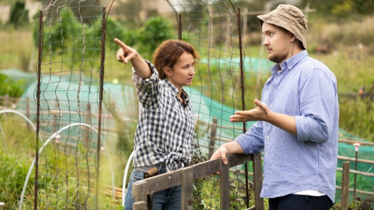 Female worker in jeans and checkered shirt is arguing with male neighbor of garden and country plot, querulous angry ranch owners. Customers and workers sort things out, shout and insult each other