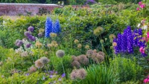 English cottage garden in full bloom, wonderfully colorful.