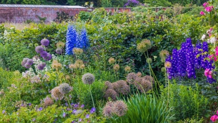 Follow These 12 Steps for the Cottage Garden You’ve Always Dreamed Of