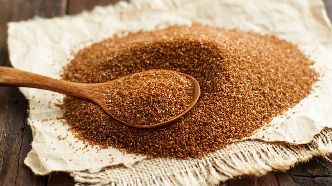 Pile of uncooked teff grain with a spoon close up