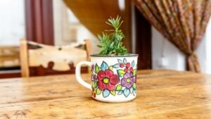 Green flower growing in the Cup