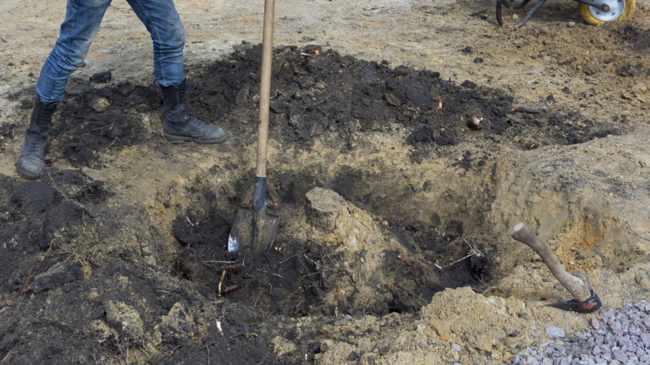 A man removes a stump in the garden, by rolling and sequential croaking
