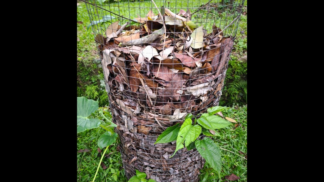 The initial composting place for organic waste (leaves) is in the form of a tube and made of wire mesh. composting starter pile
