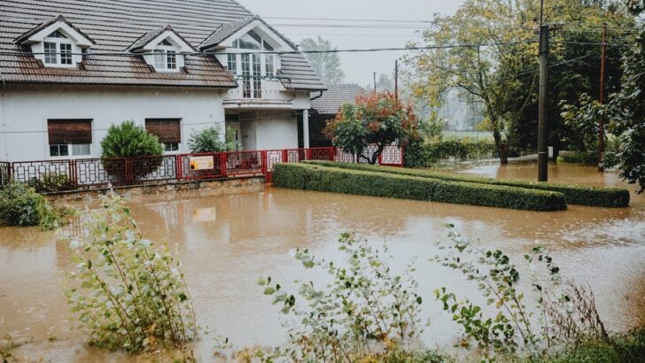 Your Garden Could Be in Trouble&mdash;Even With All This Rain