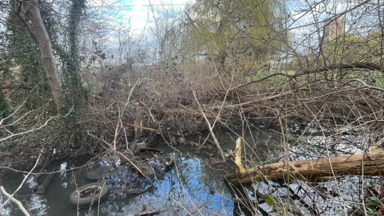 Meet the Man Facing Investigation for Removing 200 Bags of Trash From Polluted River