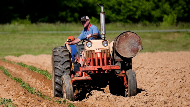 Trumps Executive Order for Regenerative Farming: What Does It Mean for American Food?