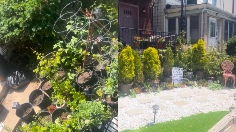 A Renter’s Landlord is Removing His Beautiful Container Garden for Landscaping Rocks