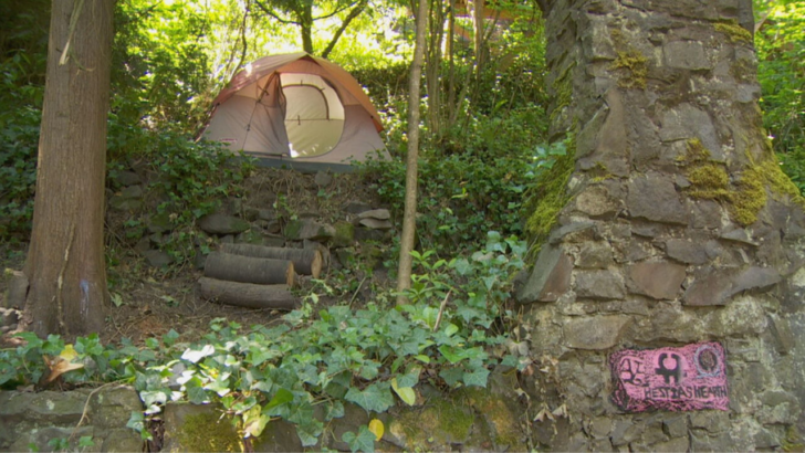 Portland Homeowner Had a Homeless Camp in His Backyard That Took Weeks to Remove